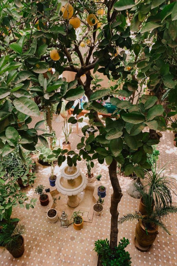 Riad Maison 24 Marrakesh Buitenkant foto